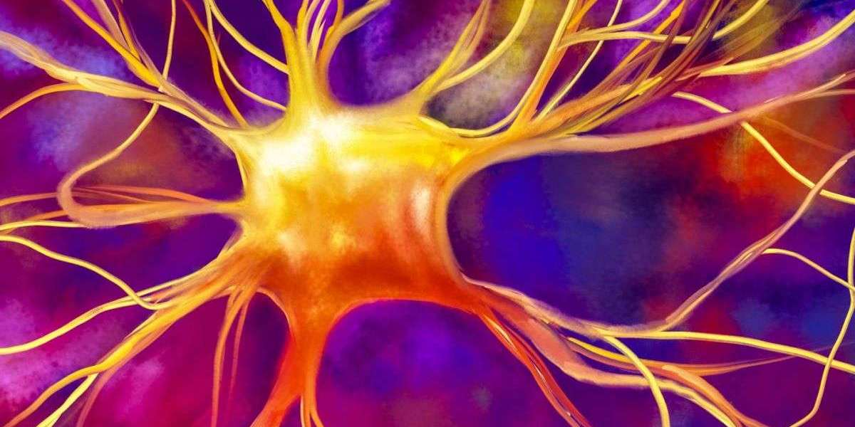 6 règles d&#039;or pour que votre cerveau continue de fabriquer de nouveaux neurones